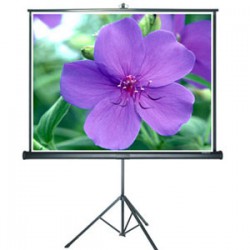 Màn chiếu Chân Grandview PT-H84x84WM 120 Inch