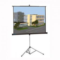 Màn chiếu Chân Dalite P84TS 120 Inch